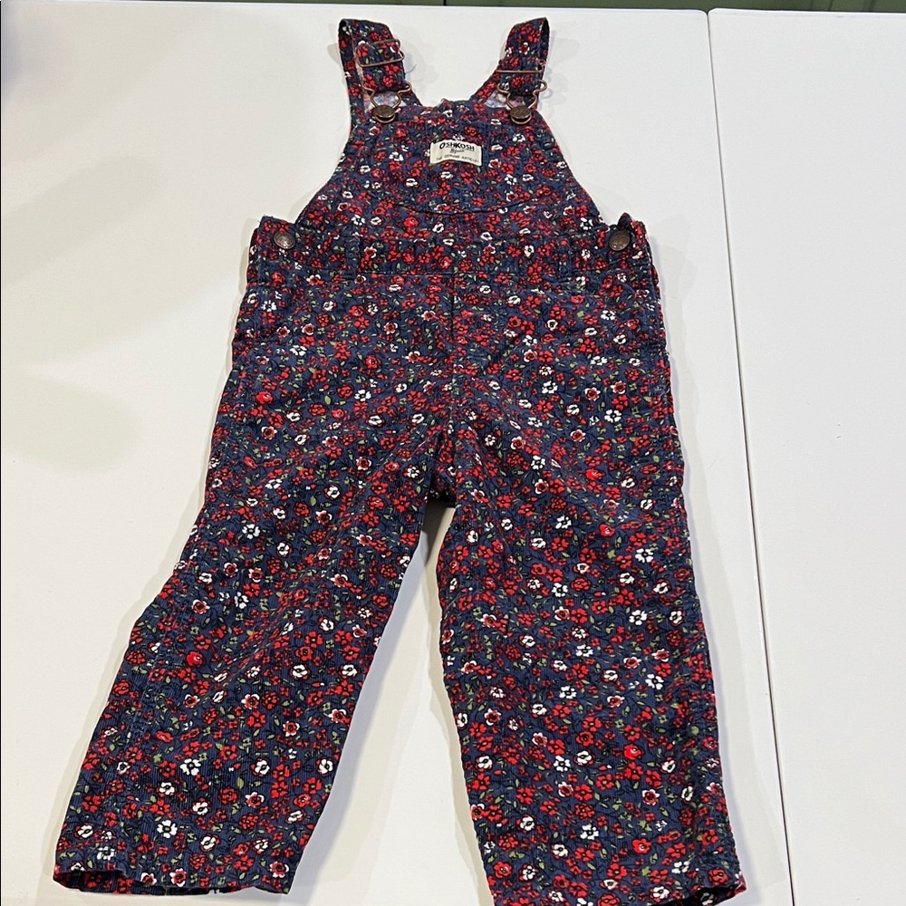 Oshkosh B’Gosh - Corduroy Floral Kids Overalls, 24m